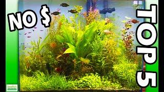 TOP 5 NO MONEY AQUARIUM ideas. EASY FIX