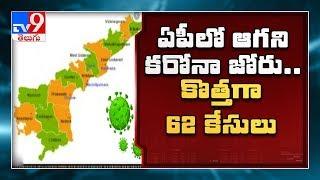 AP reported 62 new corona positive cases, number rise to 955, district wise report - TV9