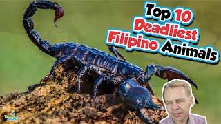 Top 10 Deadliest Animals in the Philippines - Danish Guy Reacts