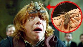 10 Harry Potter Conspiracies That SHOCKED EVERYONE!