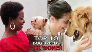 Top 10 cute and adorable dog breeds for women