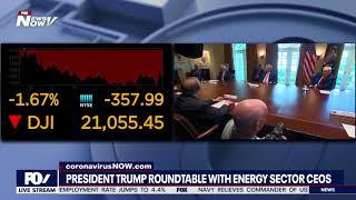 WHITE HOUSE ROUNDTABLE: President Trump meets with energy sector CEOs