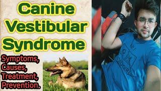 disease in dogs || vestibular disease ||causes,symptoms,treatment, prevention || by. THE PET VISION