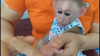 Mother Applied Hand Cream For Monkey Na