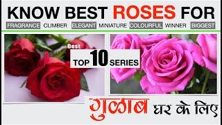 Top 10 Rose Varieties for Home -