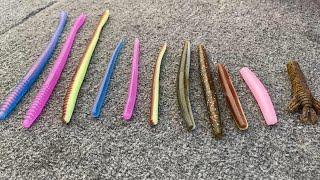 Best Worms for Spawing Bass