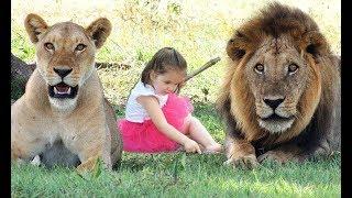 Top 10 Unbelievable Friendship Of People and Wild Animals