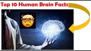Top 10 Human Brain(Mind) Facts | Facts #4