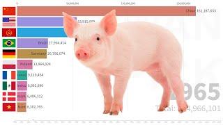 Top 10 Pig Stocks (head) Countries from 1961 | FAO DATA