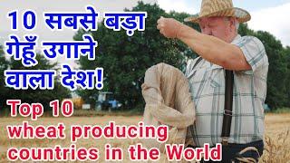 Top 10 Wheat Producing Country in Hindi