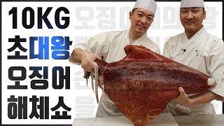 10KG급 초대왕 오징어 손질법