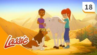 Lassie - Season 2 - Episode 18 - A Rare Sighting - FULL EPISODE