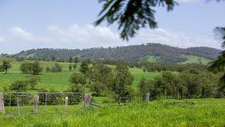 460 and 462 Kimbriki Road, KIMBRIKI, NSW