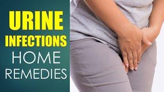 5 Top Urine Infection Home Remedies That Work