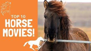 Top 10 BEST Horse Movies of all Time | Voted By Equestrians!