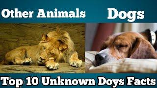 Top 10 Facts About Dogs | Tamil | Fact Full