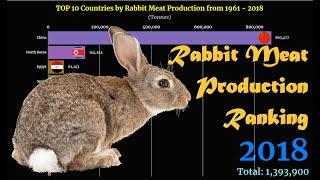 Rabbit Meat Production Ranking | TOP 10 Country from 1961 to 2018