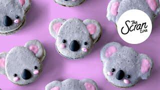 How To Make Kawaii Koala Macarons! - The Scran Line