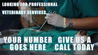 top veterinary service in trinidad and tobago