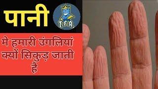 Why are fingers get wrinkle in water| top enigmatic facts about the world #v-10