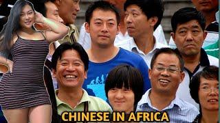 Top 10 African Countries With The Highest Chinese population