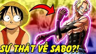 Sabo Dùng Haki Đỉnh Nhất?! | Sự Thật Bạn Không biết Về Sabo trong One Piece