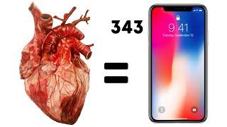 Top 10 Organs To Sell To Buy An iPhone!