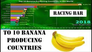 Top 10 Banana Producing Countries 1961 to 2019