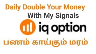 IQoption Signals Double Your Money Daily in Tamil