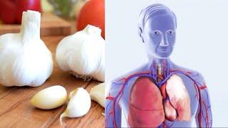 10 Super food and 10 more major diseases natural cures