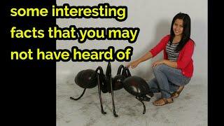 Top 10 interesting facts you must Aware of..get to know the facts