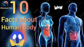 Top 10 Facts About Human Body मानव शरीर के बारे में 10 तथ्य