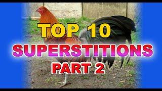 Top 10 Most Popular Superstitions in Cockfighting Part 2 - Speedstar87