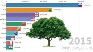 Top 10 Forest Land Countries Area in The World 1990-2015