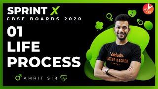 Life Processes Sprint X 2020 L1 | CBSE Class 10 Science (Biology) Chapter 6 | NCERT | Vedantu