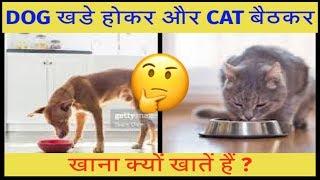 Top 5 Interesting & Unknown Facts about Dogs and Cats in Hindi | Facts Universe 07