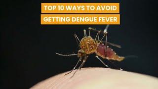 Top 10 ways to avoid getting Dengue Fever