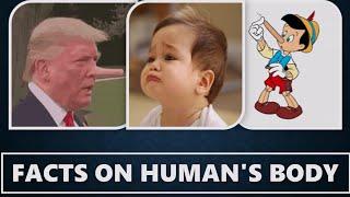 Top 10 Human Body facts. 