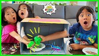What's in the box Challenge with Ryan Emma and Kate!!!
