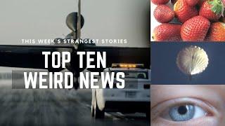 TOP TEN WEIRD NEWS #23