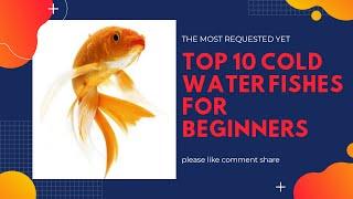 Top 10 cold water fish for beginners ॥ They need no heater ॥ Swagnik's world