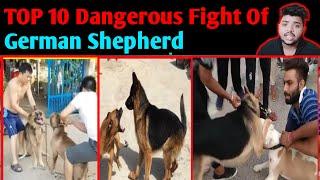 TOP 10 dangerous Fight of German Shepherd in Hindi | GSD Real Fight - Dogs Biography