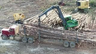 My Dad loading with our John Deere 437d & all of our other logging equipment