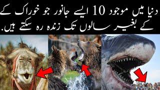 Top 10 Most Unique Animals That Can Survive Without Food for long time ||  Jamshaid Collections ||