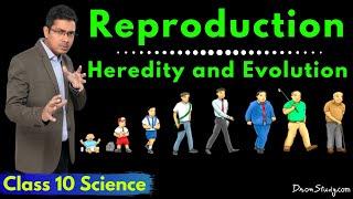 Variation In Reproduction | Heredity and Evolution | CBSE Class 10 Science | Biology | Chapter 9