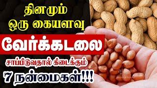 வேர்க்கடலை நன்மைகள் / Top Health Benefits of Groundnuts / peanut /nilakadalai/ verkadalai / mallatai