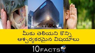 TOP 10 UNKOWN FACTS | 10 FACTS TELUGU CHANNEL