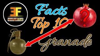 Top 10 facts you never have heard anywhere||Akher pomegranate hi kyu naam hai?||