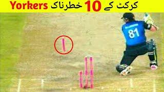 Top 10  Yorkers in Cricket History | Toe Crushing Yorkers 2020 | Top 10 Yorkers 2020