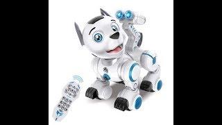 Top 10 Best Remote Control Robot in 2020 Reviews